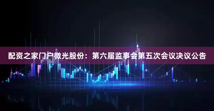 配资之家门户微光股份：第六届监事会第五次会议决议公告