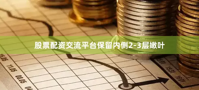 股票配资交流平台保留内侧2-3层嫩叶