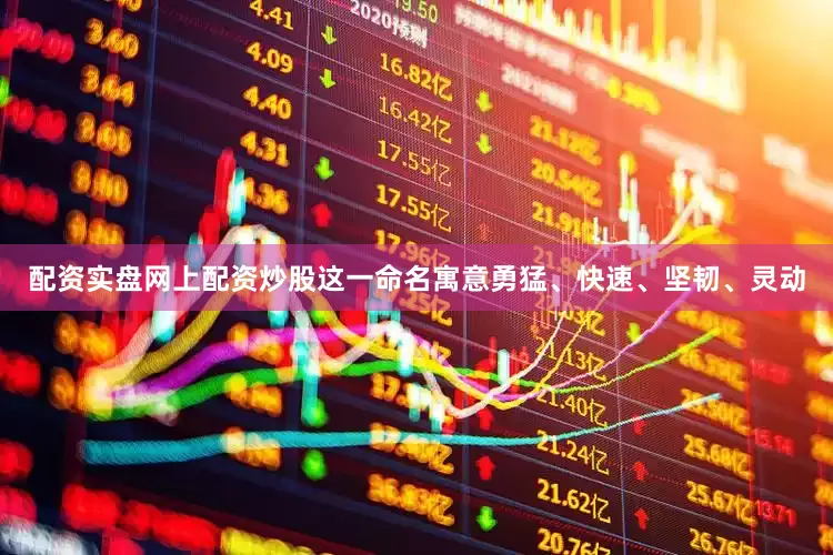 配资实盘网上配资炒股这一命名寓意勇猛、快速、坚韧、灵动